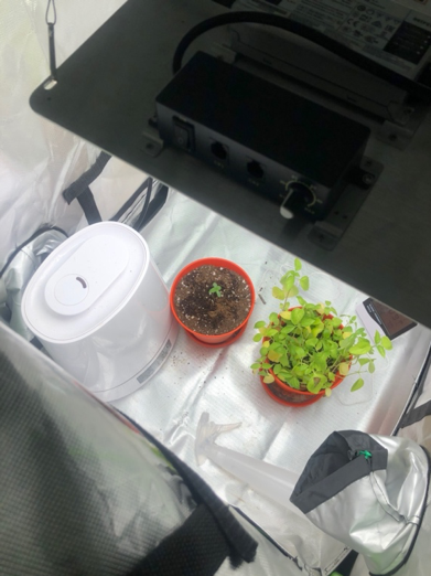 Automated indoor Garden (Arduino)